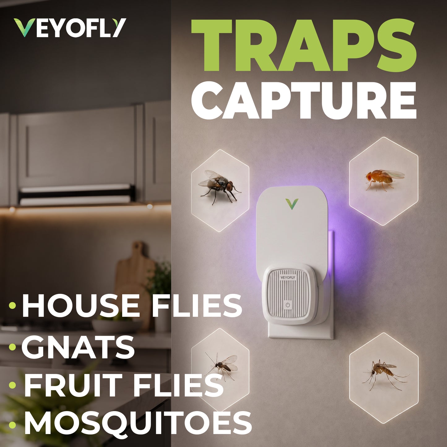 VEYOFLY Fruit Fly Trap Indoor, HouseFly Trap VF01 - 1x Device + 2x Refills