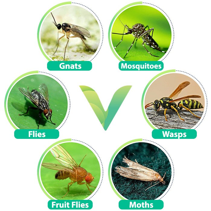VEYOFLY – Veyofly